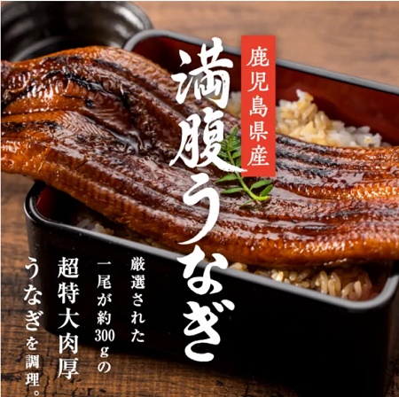 みさら(味更)割引クーポンコード情報【最新まとめ】